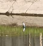 Imagine atasata: IMG_20210529_175537.jpg